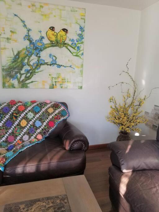 Your Home In Colorado Springs Ngoại thất bức ảnh