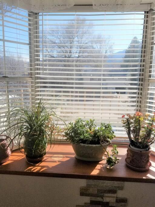 Your Home In Colorado Springs Ngoại thất bức ảnh